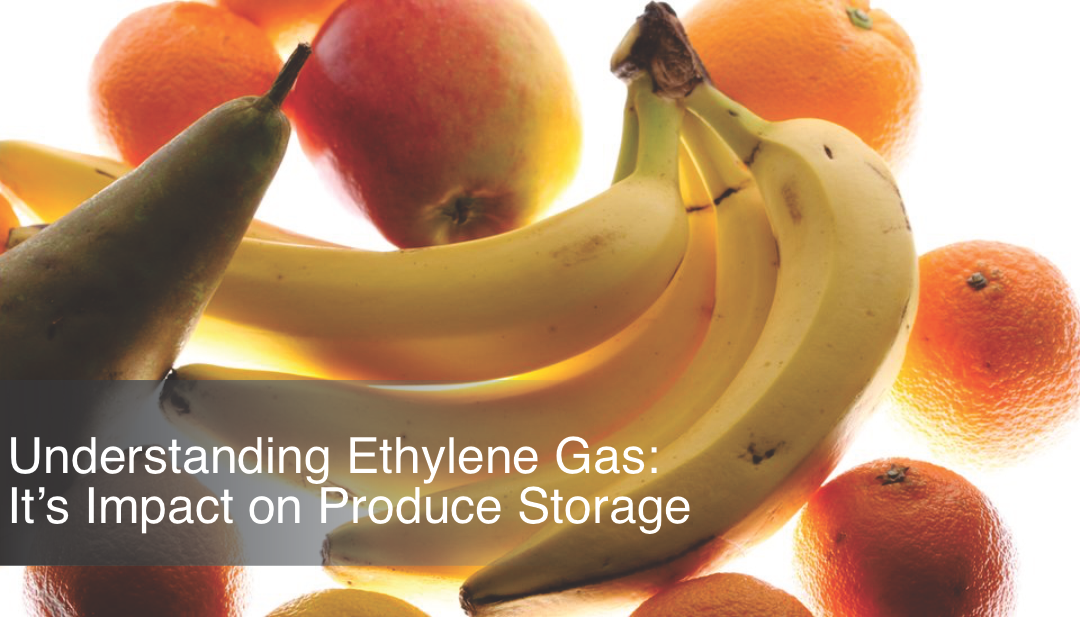 Understanding Ethylene Gas: It’s Impact on Produce Storage